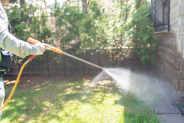 Wasp Removal Services in Ahtanum, WA